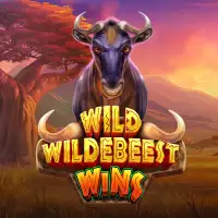 Wild Wildebeest Wins
